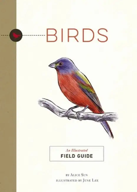 Birds: An Illustrated Field Guide by June Lee