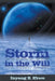 Storm in the Will by Inyang E. Ekwo
