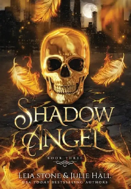 Shadow Angel: Book Three by Leia Stone
