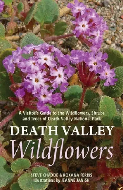 Death Valley Wildflowers: A Visitor's Guide to the Wildflowers, Shrubs and Trees of Death Valley National Park by Steve W. Chadde