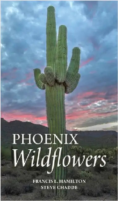 Phoenix Wildflowers: A Field Guide to the Common Shrubs, Herbs, Cacti and Ferns of the Phoenix Region by Hamilton, Francis L.