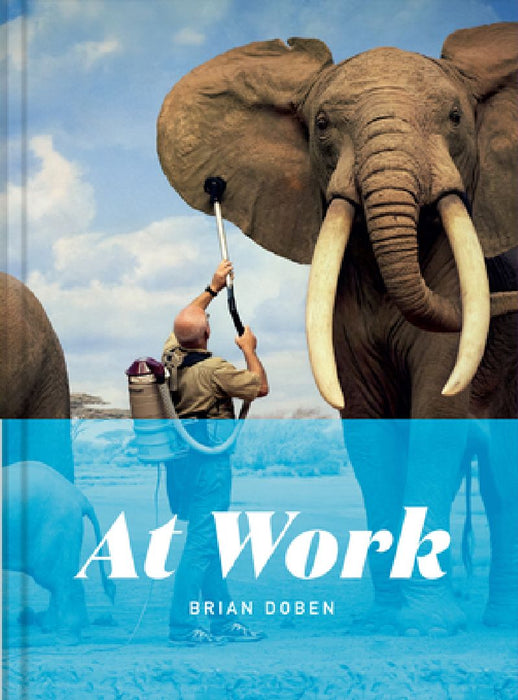 At Work by Brian Doben
