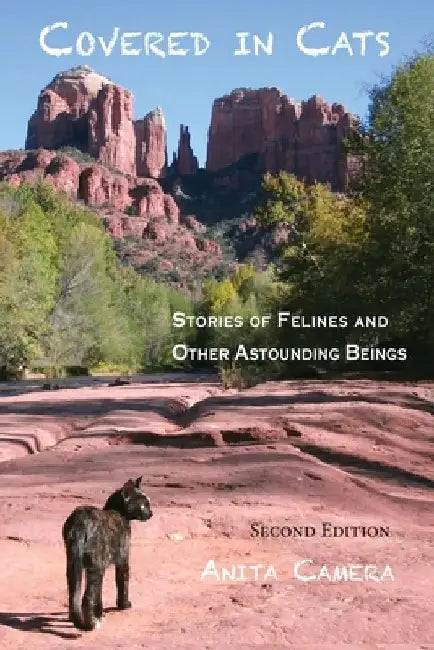Covered in Cats: Stories of Felines and Other Astounding Beings by Anita Camera