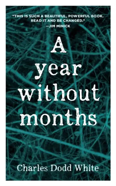 A Year without Months by Sarah Saddler