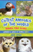 The Cutest Animals of the World Book for Kids: Stunning photos and fun facts about the most adorable animals on the planet! by Jack Lewis