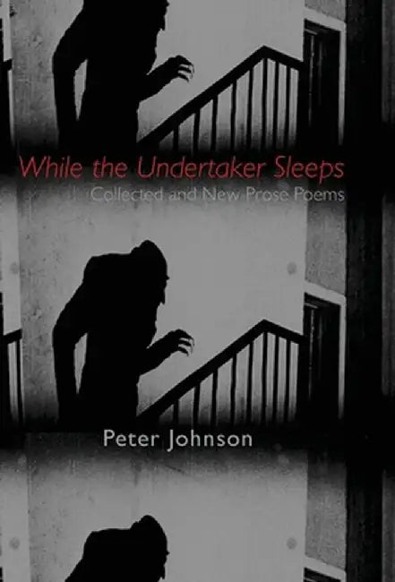While the Undertaker Sleeps by Peter Johnson