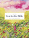 A Beautiful Year in the Bible: The 52-Week Bible Study for Women (Sc) by Alabaster Co