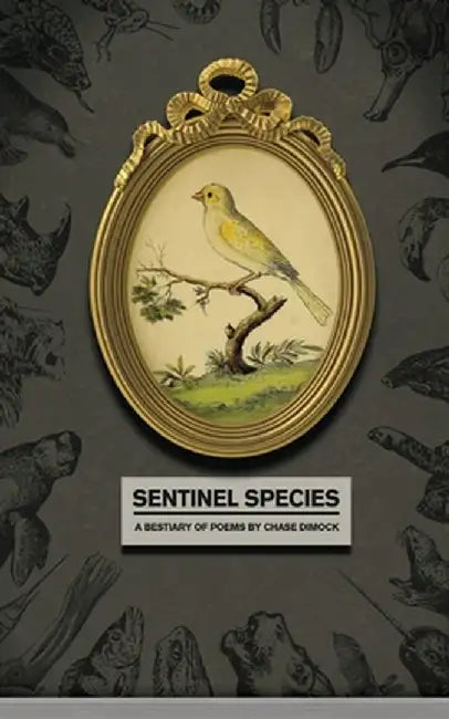 Sentinel Species by Chase Dimock
