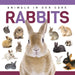 Rabbits by Hall, Alex