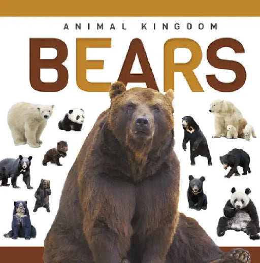 Bears by Hall, Alex