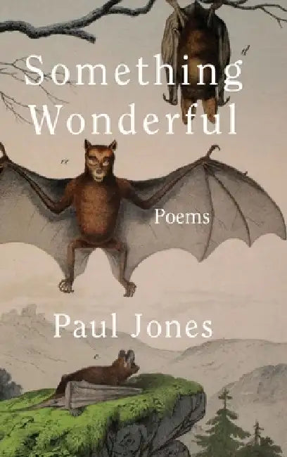 Something Wonderful by Paul Jones