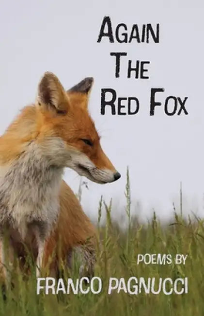 Again The Red Fox by Franco Pagnucci