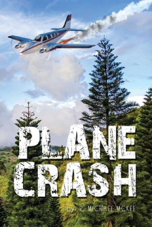 Plane Crash by R. Michael McKee