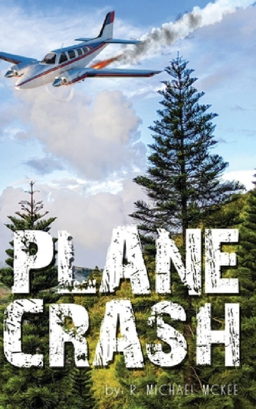 Plane Crash by R. Michael McKee