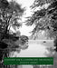 Calvert Vaux, Landscape Architect: Landscape Architect by Francis R. Kowsky