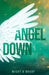 Angel Down by Micky O'Brady