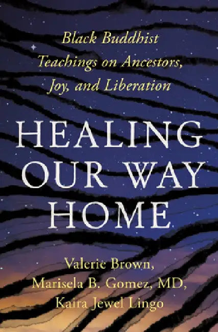 Healing Our Way Home: Black Buddhist Teachings on Ancestors, Joy, and Liberation by Kaira Jewel Lingo