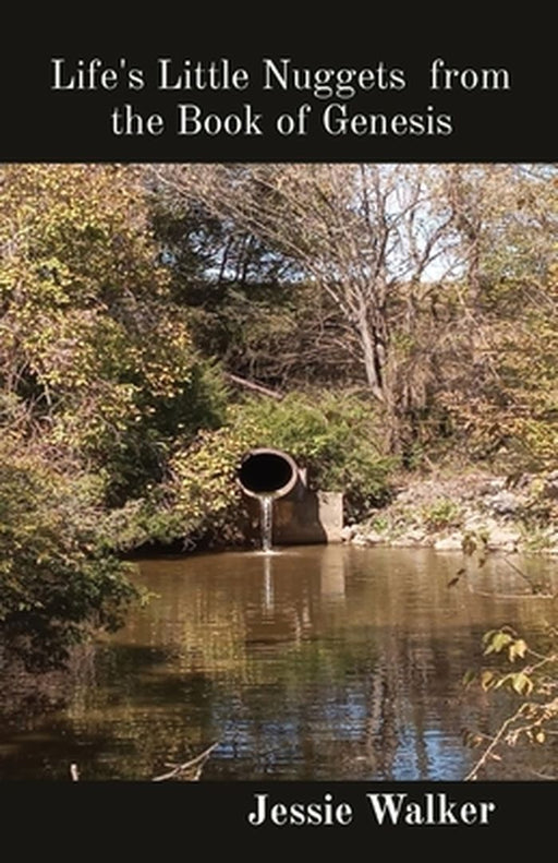 Life's Little Nuggets from the Book of Genesis by Jessie Walker