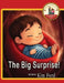The Big Surprise! by Kim Ford
