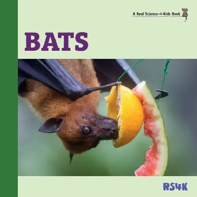 Bats by Rebecca Woodbury M. Ed