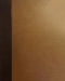 Fencing or the Science of Arms: Illustrated Edition by Salvator Fabris