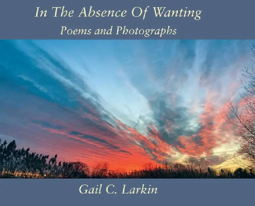In The Absence Of Wanting: Poems and Photographs by Gail C. Larkin