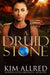 A Druid Stone: A Time Travel Romance Adventure by Kim Allred