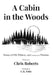 A Cabin In The Woods: Poems of Wit, Whimsy, and (sometimes) Wisdom by Chris Roberts