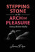 Stepping Stone to the Arch De Pleasure by James Pope