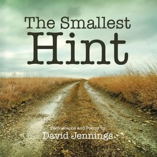 The Smallest Hint by David Jennings