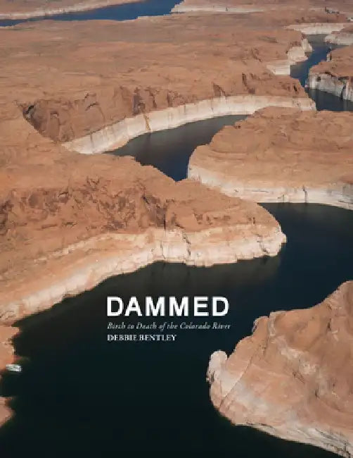 Dammed by Debbie Bentley