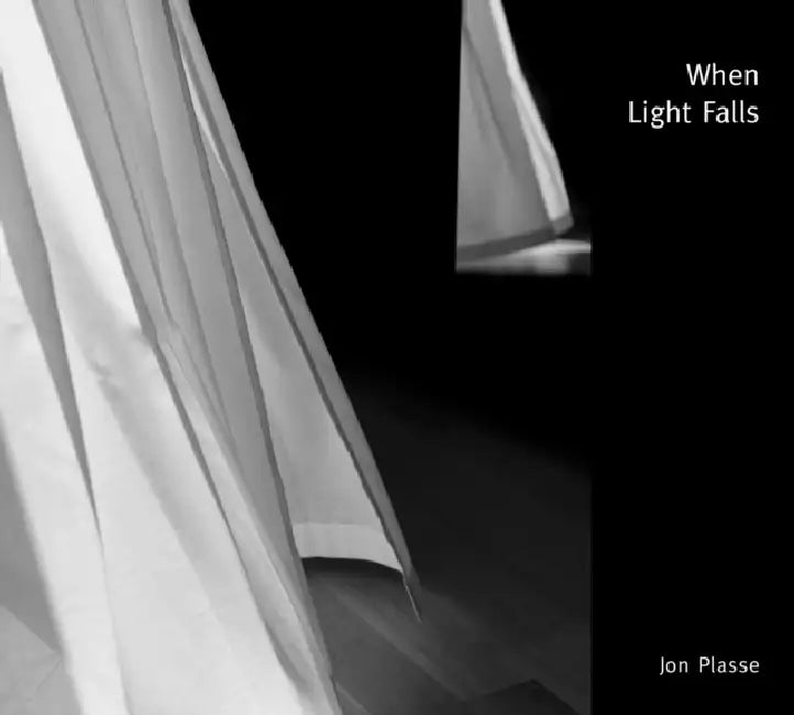 When Light Falls by Jon Plasse