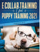 E Collar Training AND Puppy Training 2021 (2 Books IN 1) by Jenna Jimenez