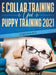 E Collar Training AND Puppy Training 2021 (2 Books IN 1) by Jenna Jimenez