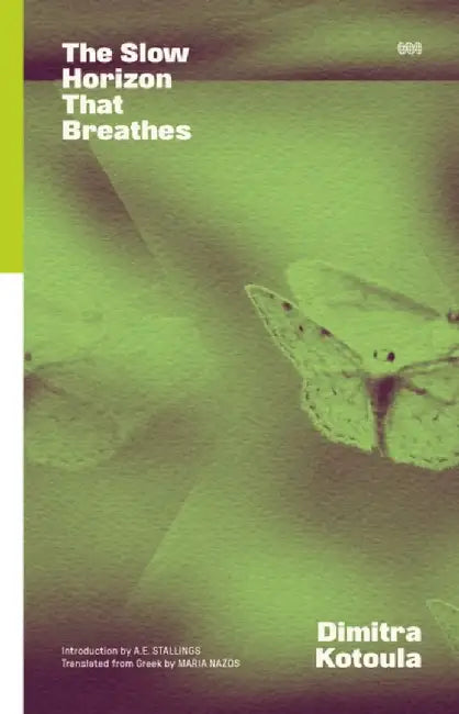 The Slow Horizon That Breathes by Dimitra Kotoula