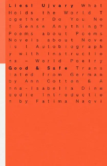 Good & Safe by Liesl Ujvary