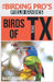Birds of Texas (The Birding Pro's Field Guides) by Marc Parnell