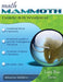 Math Mammoth Grade 8-B Worktext by Maria Miller