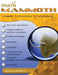 Math Mammoth Grade 5 Review Workbook by Maria Miller