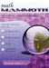 Math Mammoth Grade 6 Answer Keys, International Version by Miller