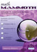 Math Mammoth Grade 7 Answer Keys, International Version by Maria Miller