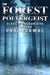 The Forest Poltergeist: Class B Encounters and the Paranormal by W. T. Watson