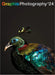 Graphis Photography Annual 2024 by B. Martin Pedersen