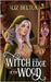 The Witch at the Edge of the Wood by Delton, Liz