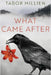What Came After by Millien, Tabor