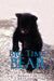 Big Time Bear by Barbara Fisk