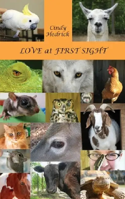 Love at First Sight by Cindy Hedrick