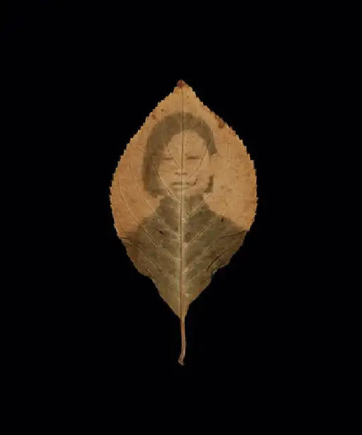 Binh Danh: The Enigma of Belonging by Binh Danh