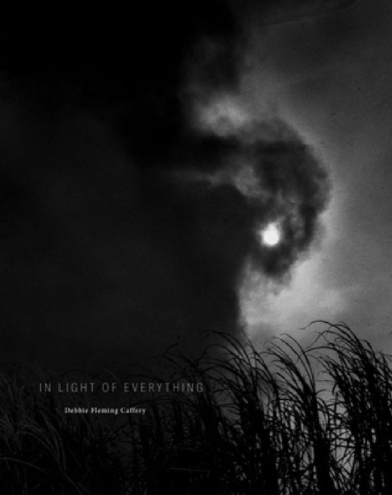 Debbie Fleming Caffery: In Light of Everything by Debbie Fleming Caffery