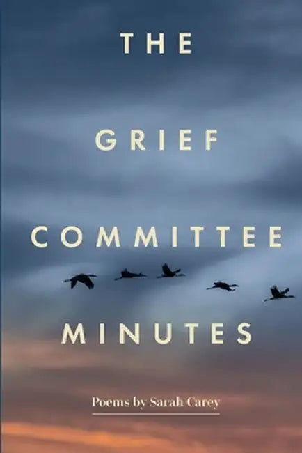The Grief Committee Minutes by Sarah Carey